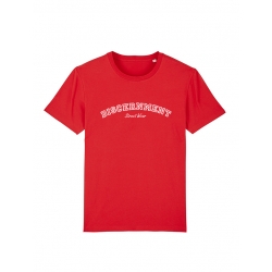 Tshirt Discernement University de discernment sur Scredboutique.com