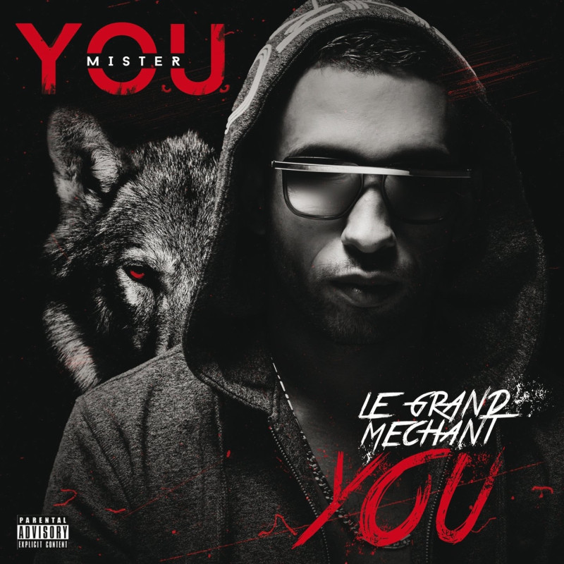 Album cd  mister you - le grand mechant you