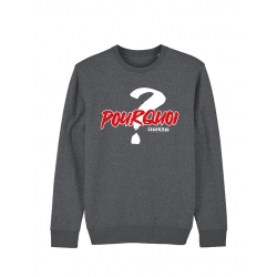 Sweat Busta Flex - Pourquoi de busta flex sur Scredboutique.com