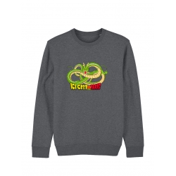 Sweat Dragon DBZ - Lutèce Football Club de amadeus sur Scredboutique.com