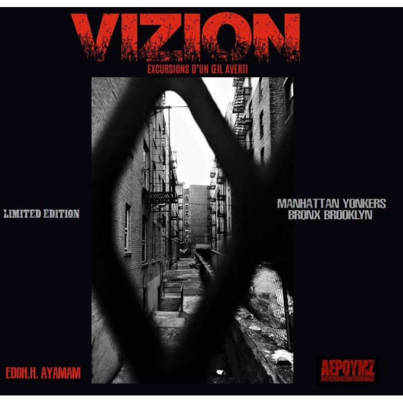 Livre - VIZION EXCURSIONS D’UN ŒIL AVERTI