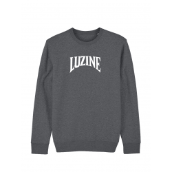 Sweat LuZine Evolution de l'uzine sur Scredboutique.com