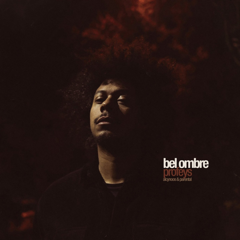 Album vinyle Profeys - Bel ombre