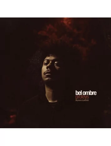  Album vinyle Profeys - Bel ombre