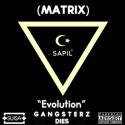 Album CD Sapil - Matrix de  sur Scredboutique.com