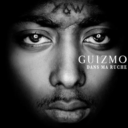 Album cd "Guizmo" - Dans Ma Ruche