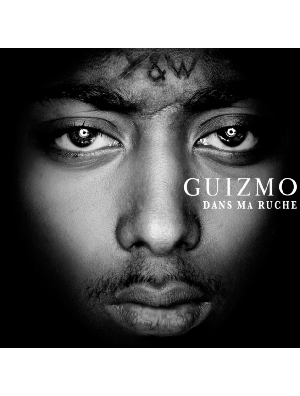 Album cd "Guizmo" - Dans Ma Ruche