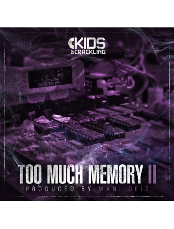Album Cd "Too much Memory 2 - Mani Deiz"