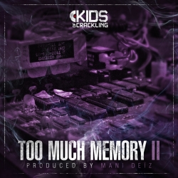 Album Cd "Too much Memory 2 - Mani Deiz" de mani deiz sur Scredboutique.com