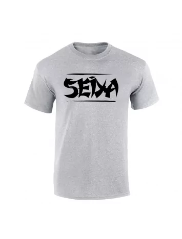 Tee Shirt Seiya  Gris