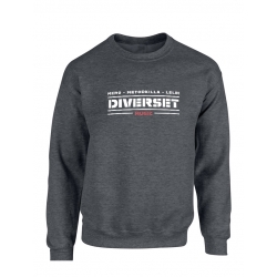 Sweat Gris Foncé Diverset de diverset music  sur Scredboutique.com