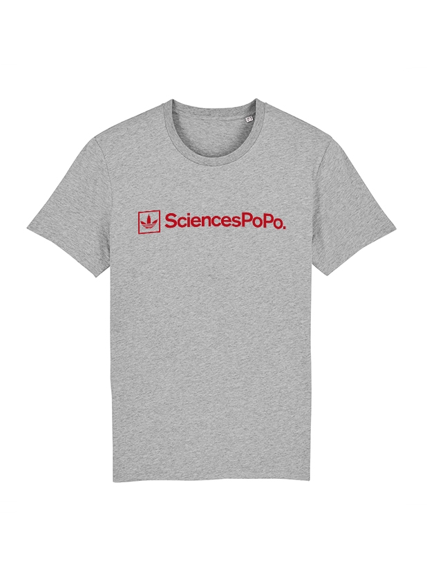 Tshirt SciencePopo Gris de amadeus sur Scredboutique.com