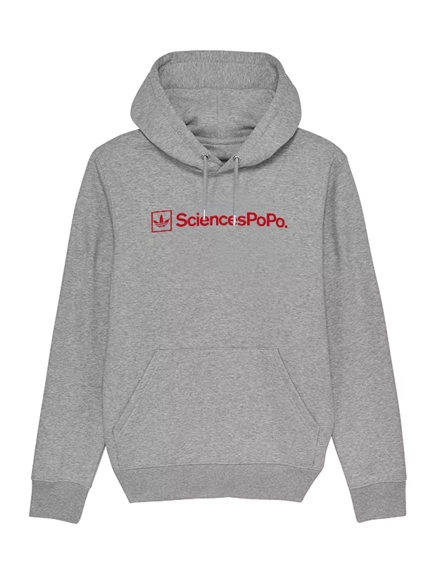 Sweat Capuche SciencePopo gris de amadeus sur Scredboutique.com