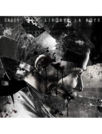 ALBUM 1er pressage collector VINYLE CASEY "LIBÉREZ LA BÊTE"