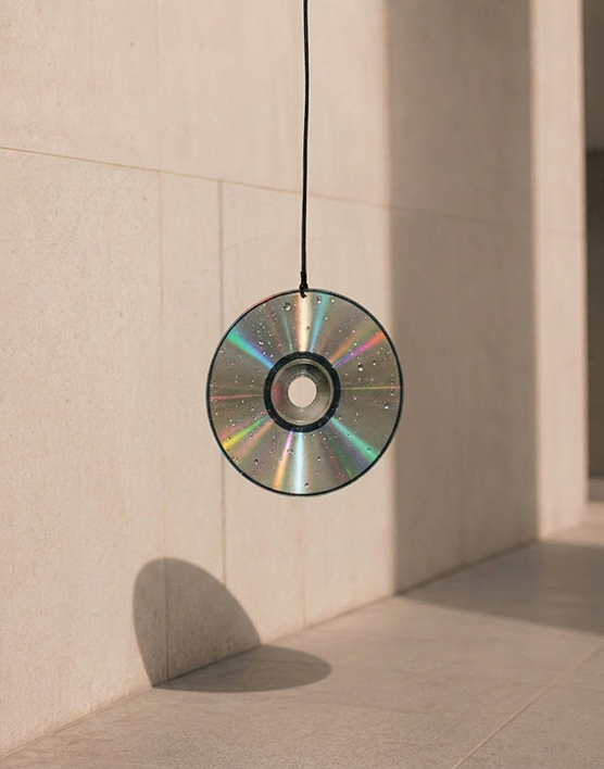 Albums CD